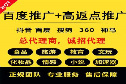 行业领先企业的SEM推广策略揭秘